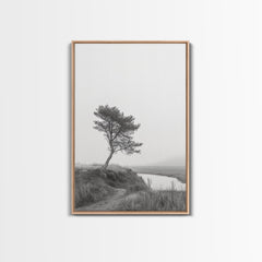 Leaning Tree Path, Soft Fog Scene, Calm Landscape, Canvas Print, Serene Entryway Wall Art, Nature Photography, Minimalist Decor Light Oak Frame