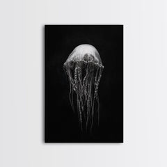 Elegant Jellyfish Art, Ocean Wildlife, Monochrome Marine, Framed Canvas Print, Bathroom Decor, Nautical Wall Art, Minimalist Sea Life Gallery Wrap Canvas - Ready To Hang