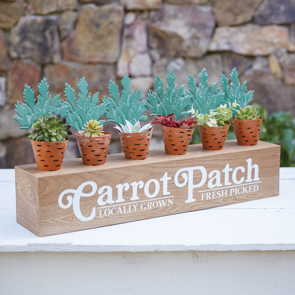 Carrot Patch Display Boxes - Set of Two