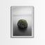 Moss Rock Minimal, Green Accent Art, Coastal Zen Decor, Framed Canvas Print, Modern Neutral Room, Nature Wall Aesthetic Gold Frame