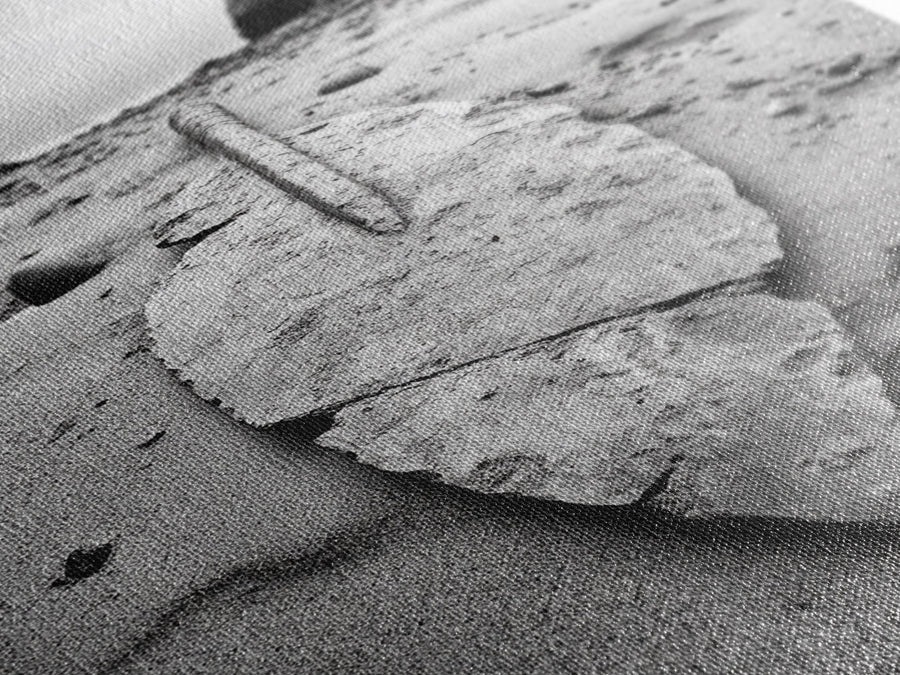 Fossil Rock Shore, Beach Minimalism, Sand Texture Art, Canvas Print, Coastal Wall Art, Natural History Decor, Abstract Earthy Art