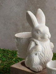 Cement Basket Bunny , 2 Style Options