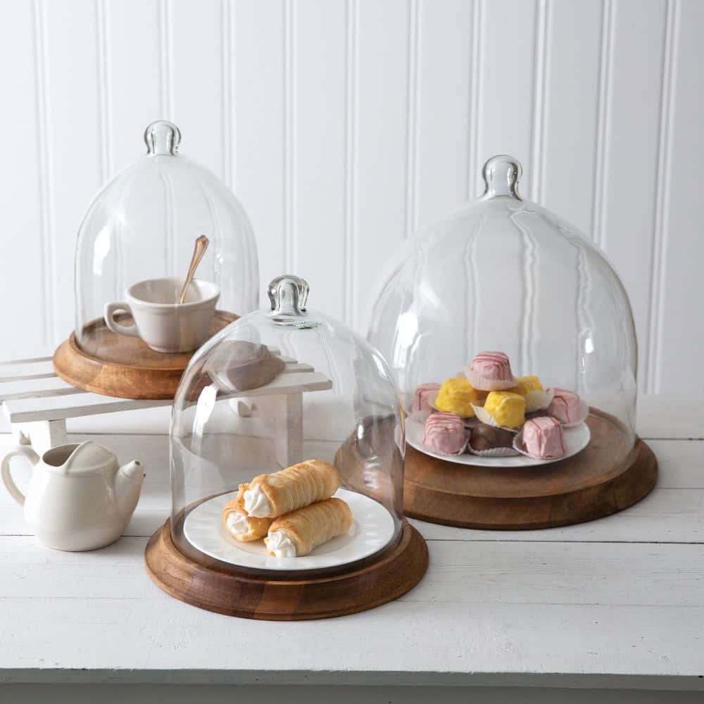 Large Wooden Base Glass Cloche Display Dome