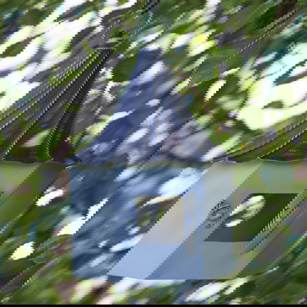 Royal Garden Charm: Queen Victoria Inspired Metal Birdhouse