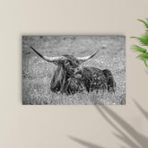 Black And White Longhorn Bull Canvas Wall Art 36x24 inch Extra Large Premium Gallery Wrapped