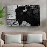 Black and White Bison Canvas Wall Art 36x24 inch Extra Large Premium Gallery Wrapped