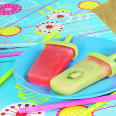 Reusable Plastic Popsicle Mold For Homemade Iced Snacks