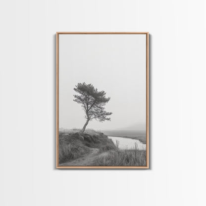 Leaning Tree Path, Soft Fog Scene, Calm Landscape, Canvas Print, Serene Entryway Wall Art, Nature Photography, Minimalist Decor Light Oak Floater