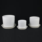 3-Piece White Stoneware Planter Set with Geometric Line Design pot with plastic saucer