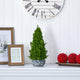 18” Cypress Cone Artificial Christmas Tree in Decorative Planter