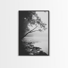 Misty Tree, Shoreline Fog, Forest Edge, Moody Atmosphere, Framed Canvas Print, Bedroom Wall Art, Autumn Woodland Style, Serene Nature Decor Black Frame