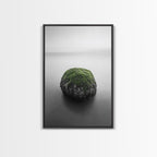 Moss Rock Minimal, Green Accent Art, Coastal Zen Decor, Framed Canvas Print, Modern Neutral Room, Nature Wall Aesthetic Black Frame