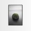 Moss Rock Minimal, Green Accent Art, Coastal Zen Decor, Framed Canvas Print, Modern Neutral Room, Nature Wall Aesthetic Black Frame