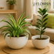 2-Piece White Plastic Planter Bowls – Modern Minimalist Design
