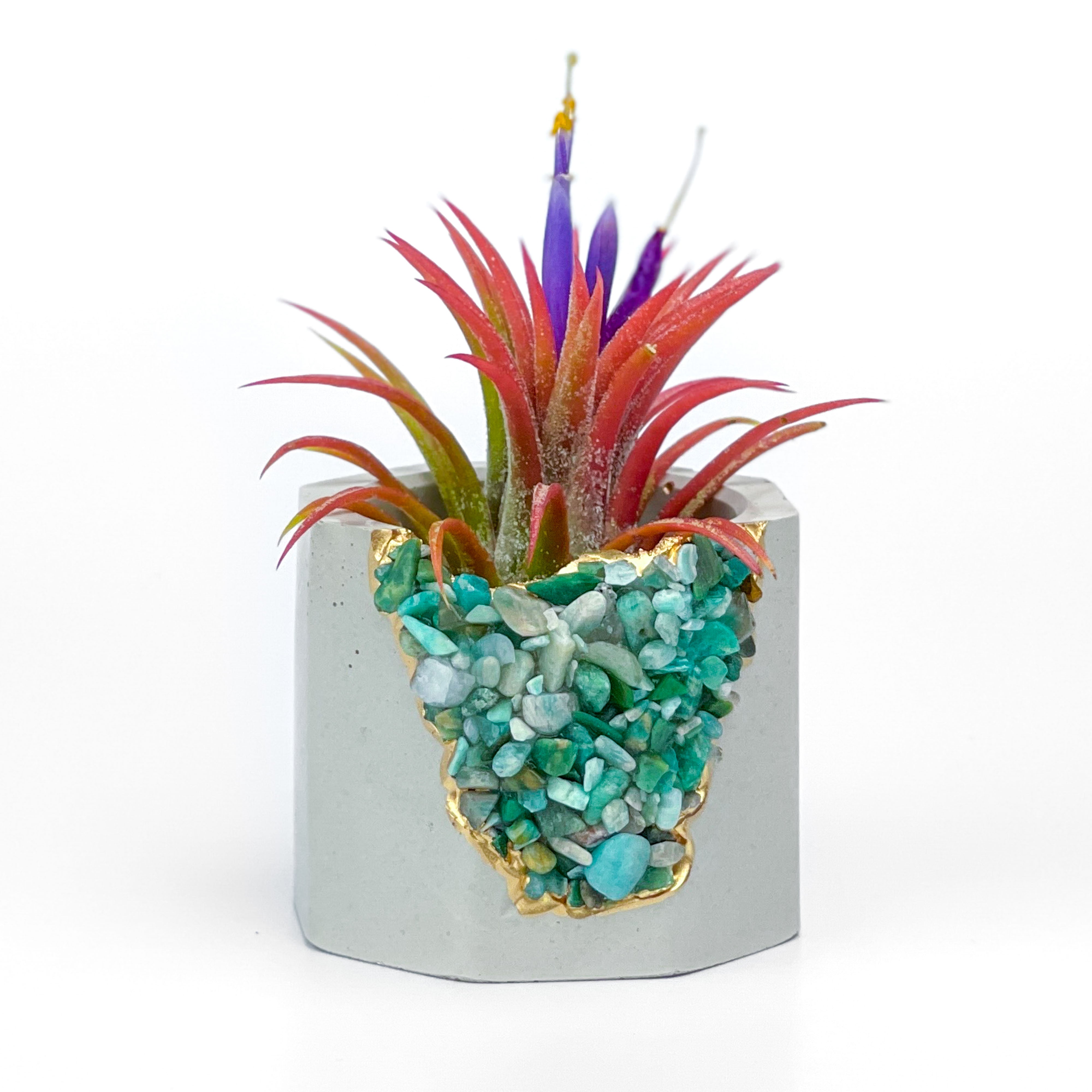 Amazonite Geode Planter