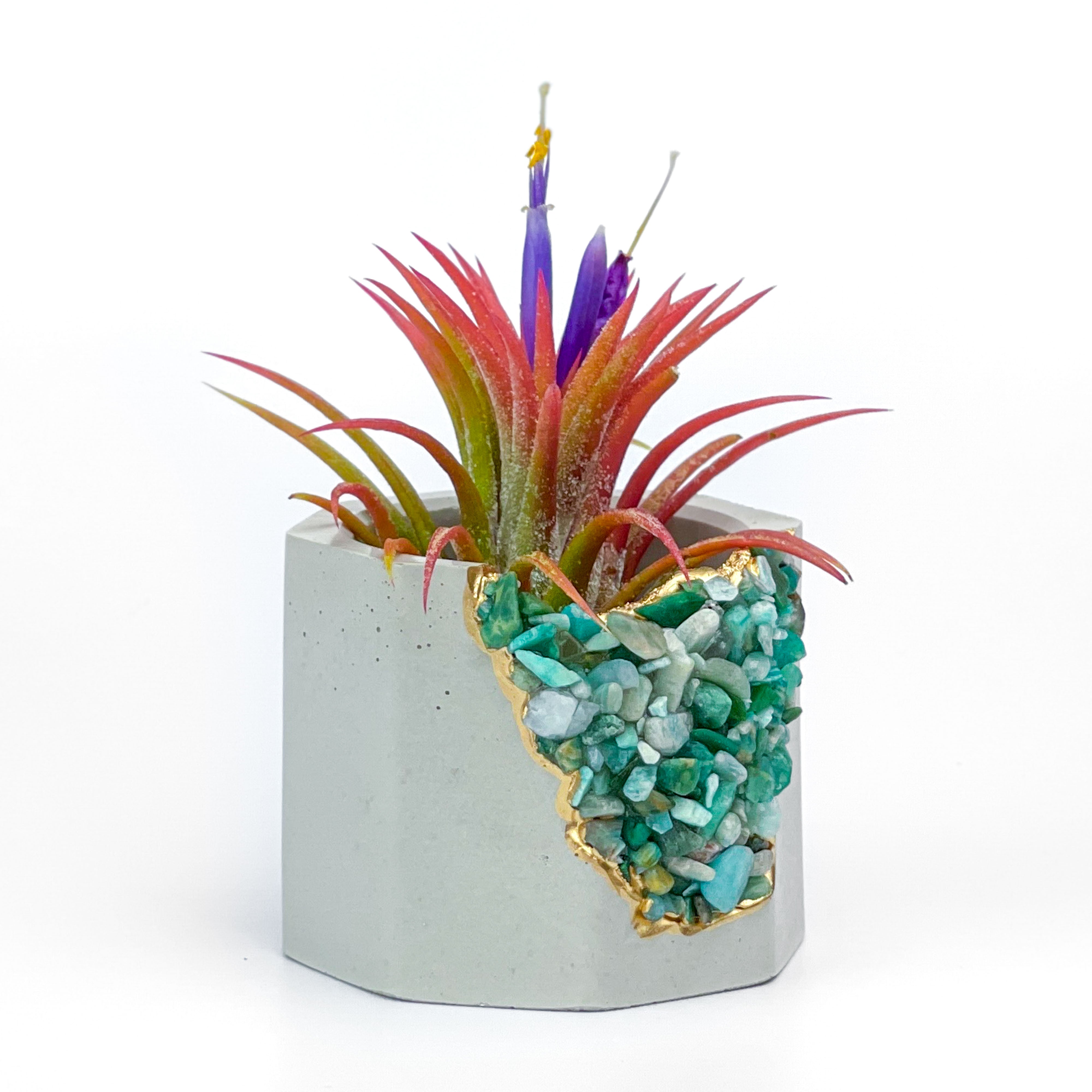 Amazonite Geode Planter