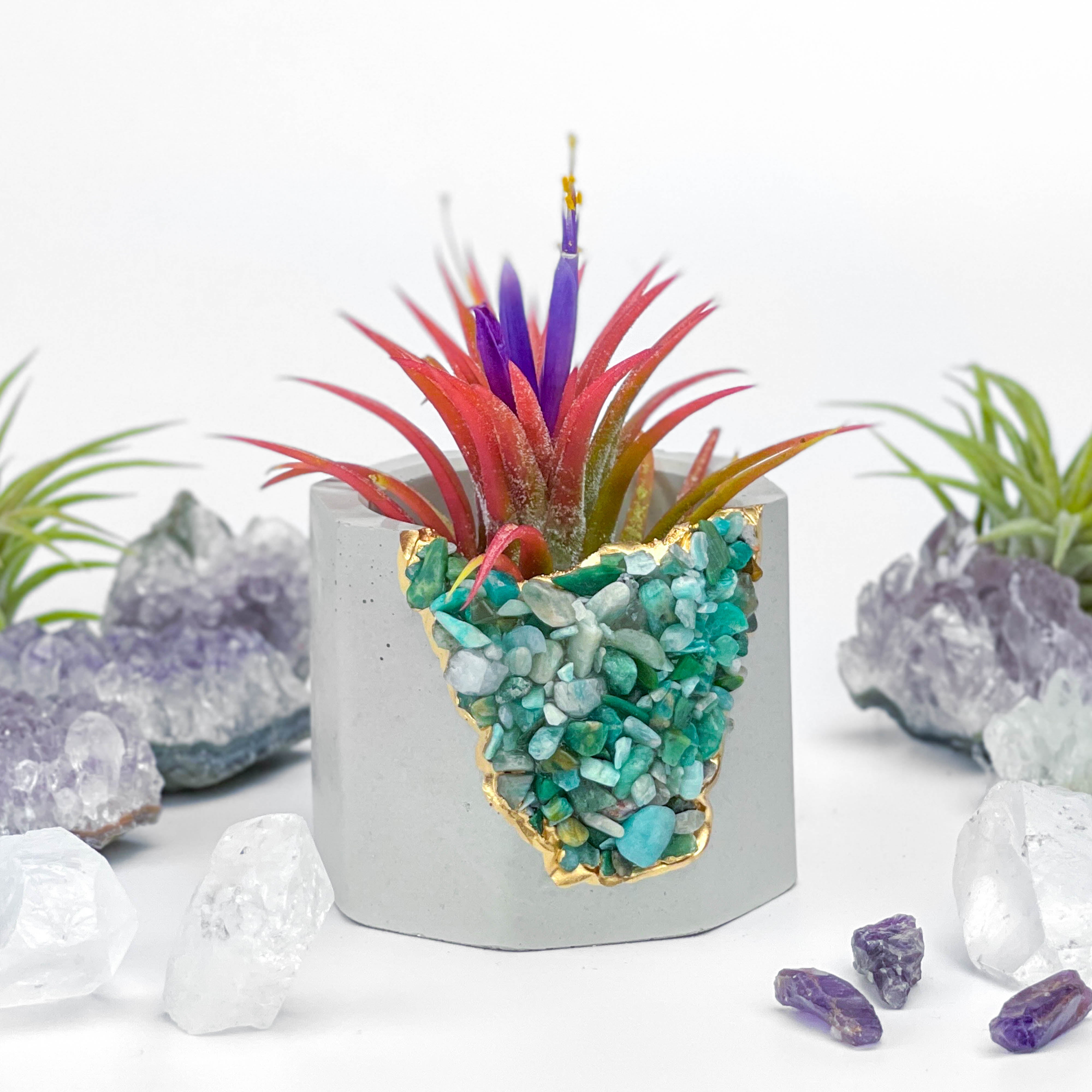 Amazonite Geode Planter