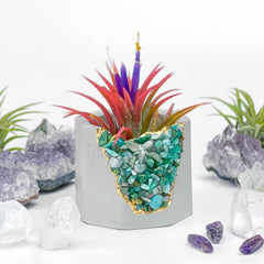 Amazonite Geode Planter