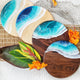 Round Ocean Boards