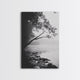 Misty Tree, Shoreline Fog, Forest Edge, Moody Atmosphere, Framed Canvas Print, Bedroom Wall Art, Autumn Woodland Style, Serene Nature Decor