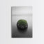 Moss Rock Minimal, Green Accent Art, Coastal Zen Decor, Framed Canvas Print, Modern Neutral Room, Nature Wall Aesthetic Gallery Wrap Canvas - Ready To Hang