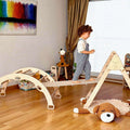 4 Pieces Climbing Set - Climbing Triangle, Arch Rocker, Pillow, and 2in1 Ramp