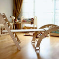 4 Pieces Climbing Set - Climbing Triangle, Arch Rocker, Pillow, and 2in1 Ramp
