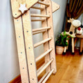 4 Pieces Climbing Set - Climbing Triangle, Arch Rocker, Pillow, and 2in1 Ramp