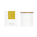 3-Wick Candle Yosemite