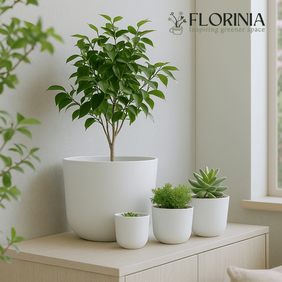 4-Piece White Plastic Round Planter Pot Set – Minimalist Modern Design