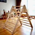 4 Pieces Climbing Set - Climbing Triangle, Arch Rocker, Pillow, and 2in1 Ramp