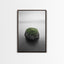 Moss Rock Minimal, Green Accent Art, Coastal Zen Decor, Framed Canvas Print, Modern Neutral Room, Nature Wall Aesthetic Walnut Frame