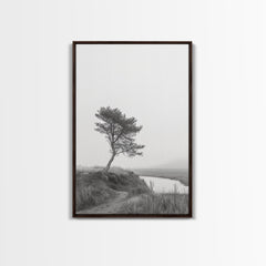 Leaning Tree Path, Soft Fog Scene, Calm Landscape, Canvas Print, Serene Entryway Wall Art, Nature Photography, Minimalist Decor Walnut Frame