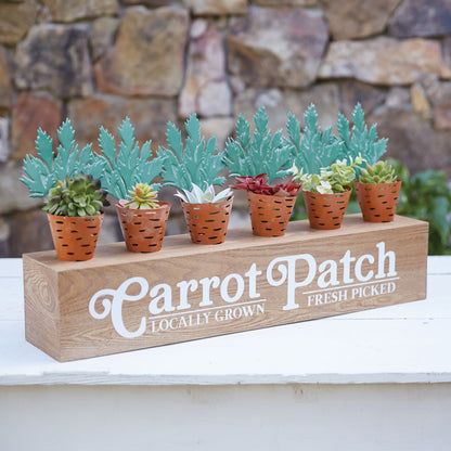 Carrot Patch Display Boxes - Set of Two