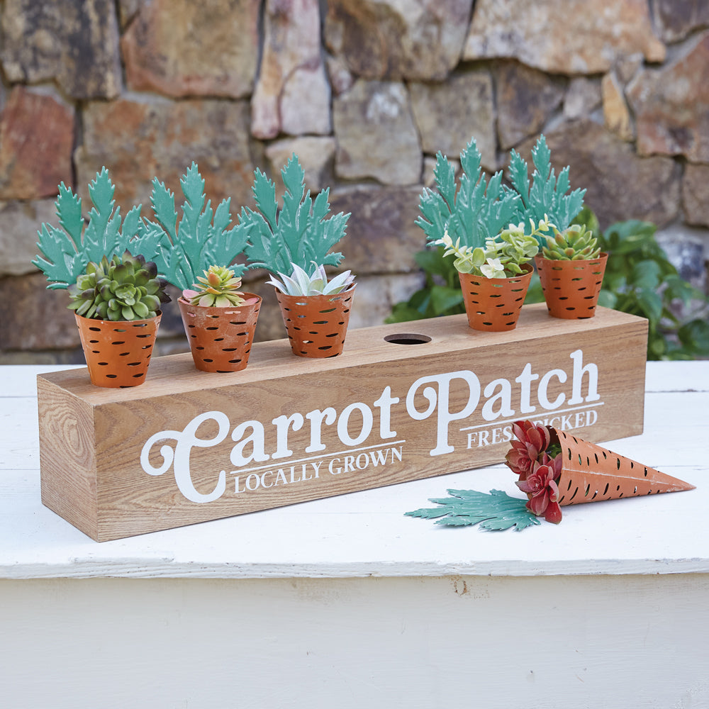 Carrot Patch Display Boxes - Set of Two
