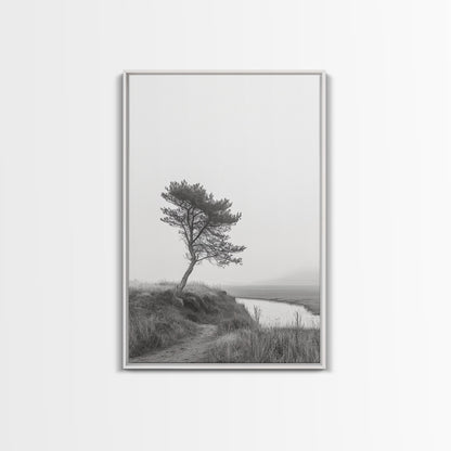 Leaning Tree Path, Soft Fog Scene, Calm Landscape, Canvas Print, Serene Entryway Wall Art, Nature Photography, Minimalist Decor White Floater