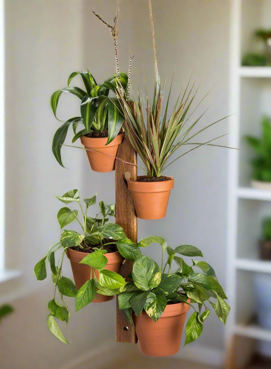 6 Pot Hanging Plant Holder - 3 piece set Main image