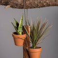 6 Pot Hanging Plant Holder - 3 piece set