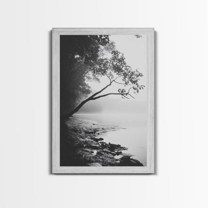 Misty Tree, Shoreline Fog, Forest Edge, Moody Atmosphere, Framed Canvas Print, Bedroom Wall Art, Autumn Woodland Style, Serene Nature Decor Shabby Chic Barnwood