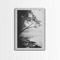 Misty Tree, Shoreline Fog, Forest Edge, Moody Atmosphere, Framed Canvas Print, Bedroom Wall Art, Autumn Woodland Style, Serene Nature Decor Gold Frame