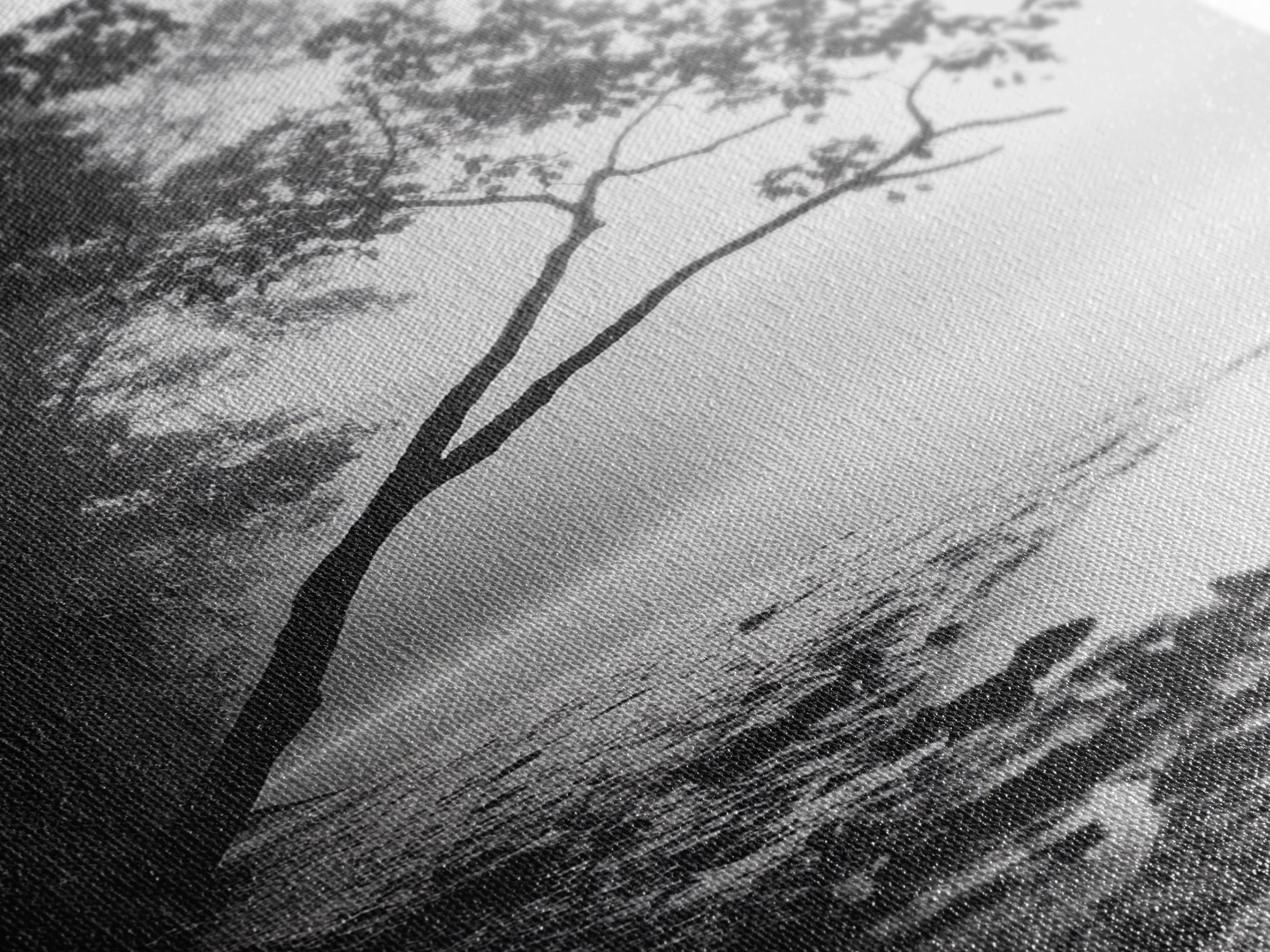 Misty Tree, Shoreline Fog, Forest Edge, Moody Atmosphere, Framed Canvas Print, Bedroom Wall Art, Autumn Woodland Style, Serene Nature Decor