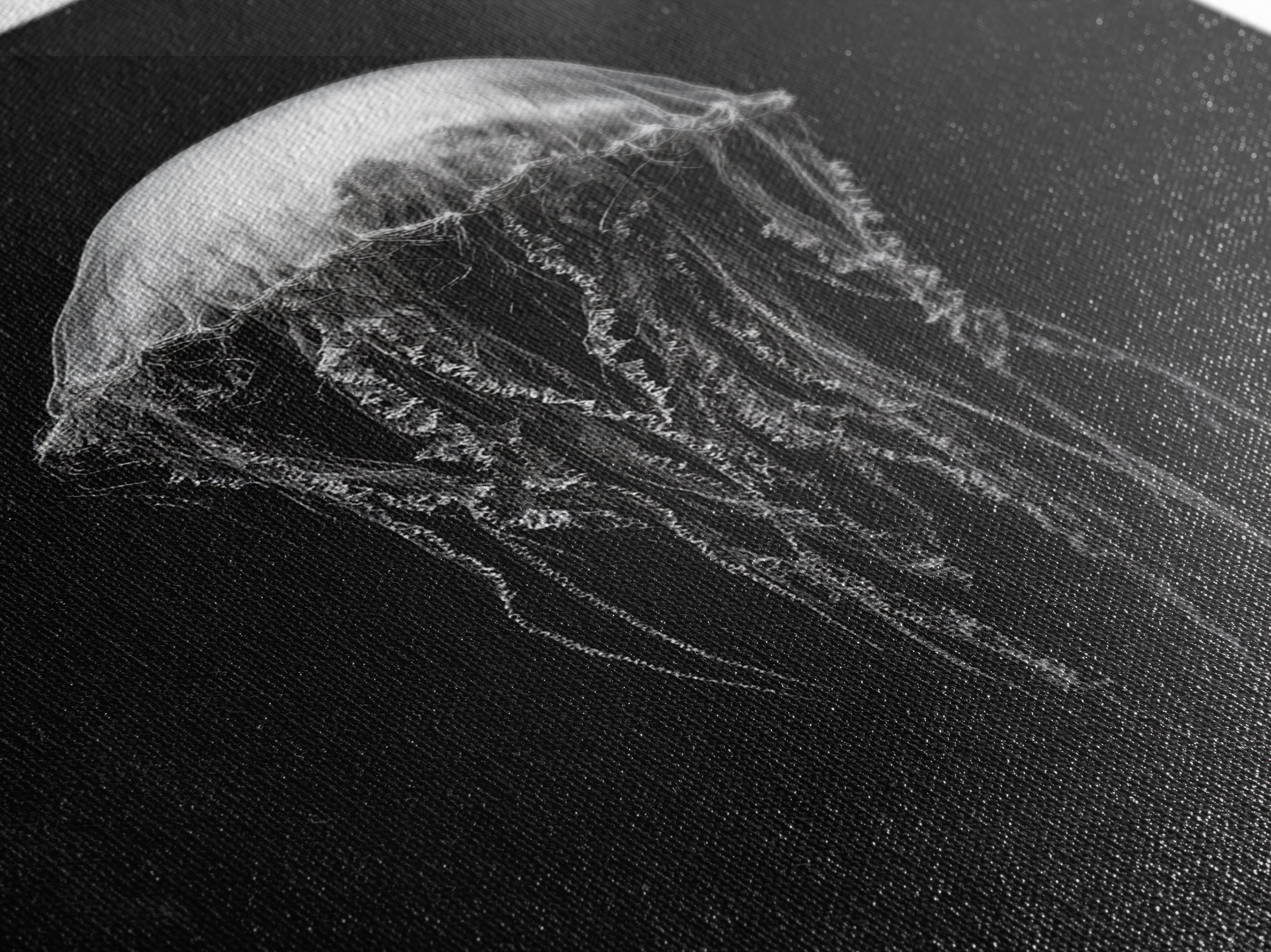 Elegant Jellyfish Art, Ocean Wildlife, Monochrome Marine, Framed Canvas Print, Bathroom Decor, Nautical Wall Art, Minimalist Sea Life