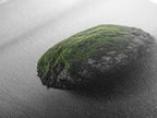 Moss Rock Minimal, Green Accent Art, Coastal Zen Decor, Framed Canvas Print, Modern Neutral Room, Nature Wall Aesthetic