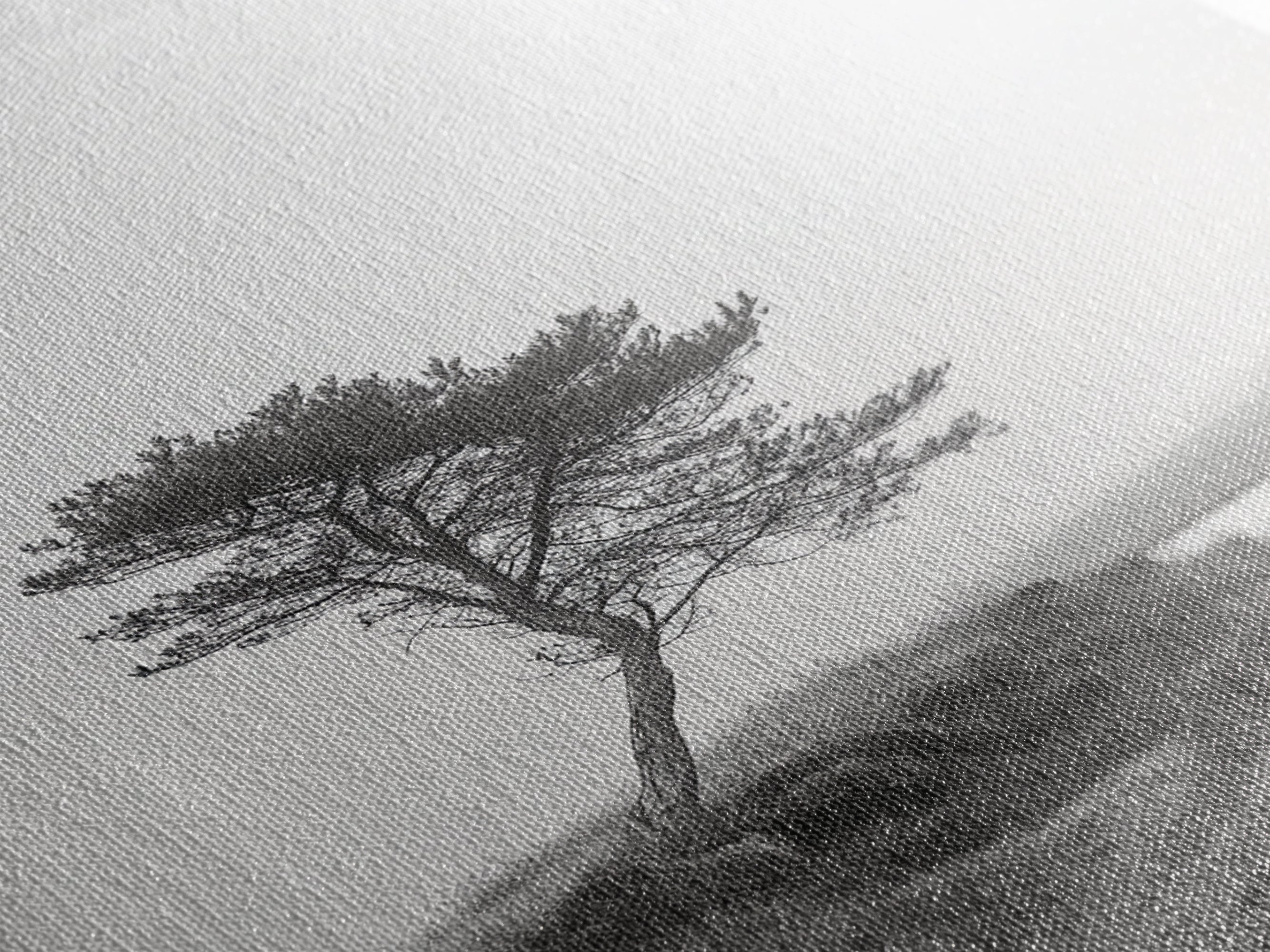 Leaning Tree Path, Soft Fog Scene, Calm Landscape, Canvas Print, Serene Entryway Wall Art, Nature Photography, Minimalist Decor