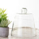 Cloche Bell Jar