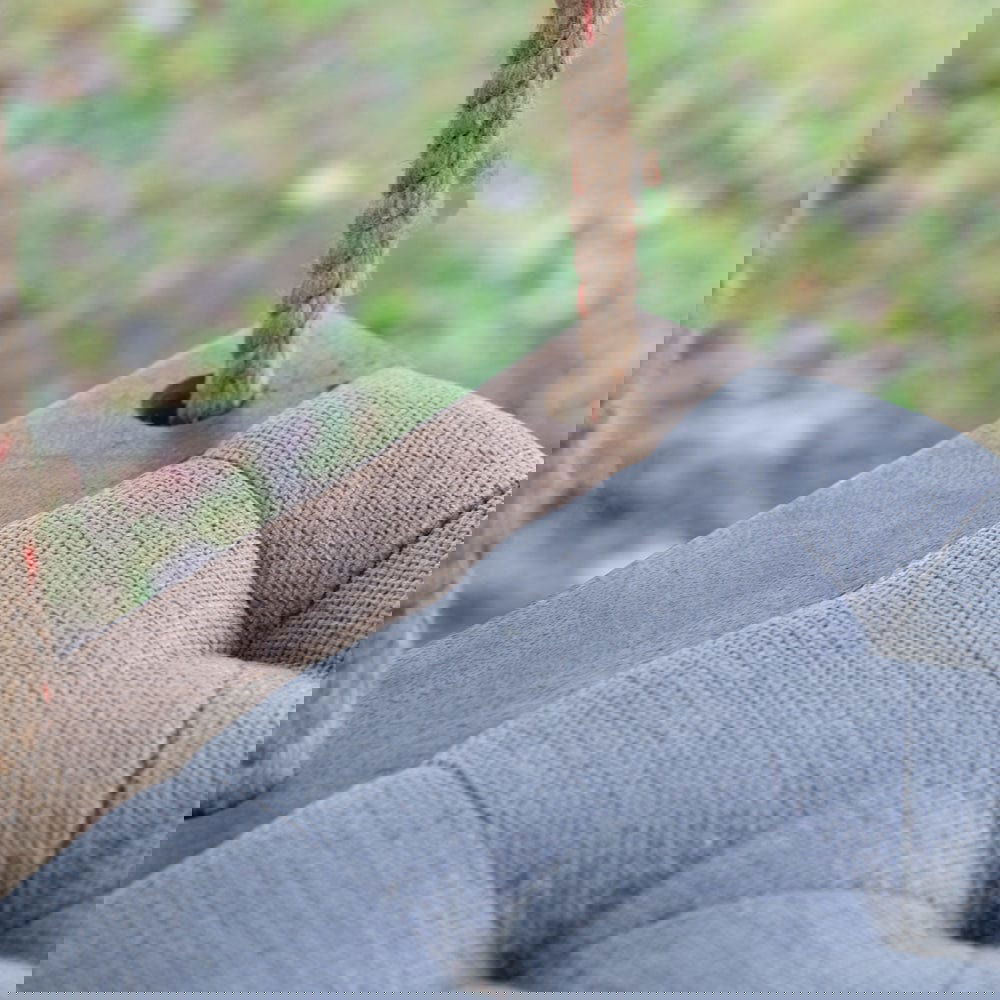 Comfort Crafted Padded Wooden Swing with Jute Rope