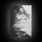 Misty Tree, Shoreline Fog, Forest Edge, Moody Atmosphere, Framed Canvas Print, Bedroom Wall Art, Autumn Woodland Style, Serene Nature Decor