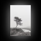 Leaning Tree Path, Soft Fog Scene, Calm Landscape, Canvas Print, Serene Entryway Wall Art, Nature Photography, Minimalist Decor