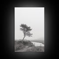 Leaning Tree Path, Soft Fog Scene, Calm Landscape, Canvas Print, Serene Entryway Wall Art, Nature Photography, Minimalist Decor