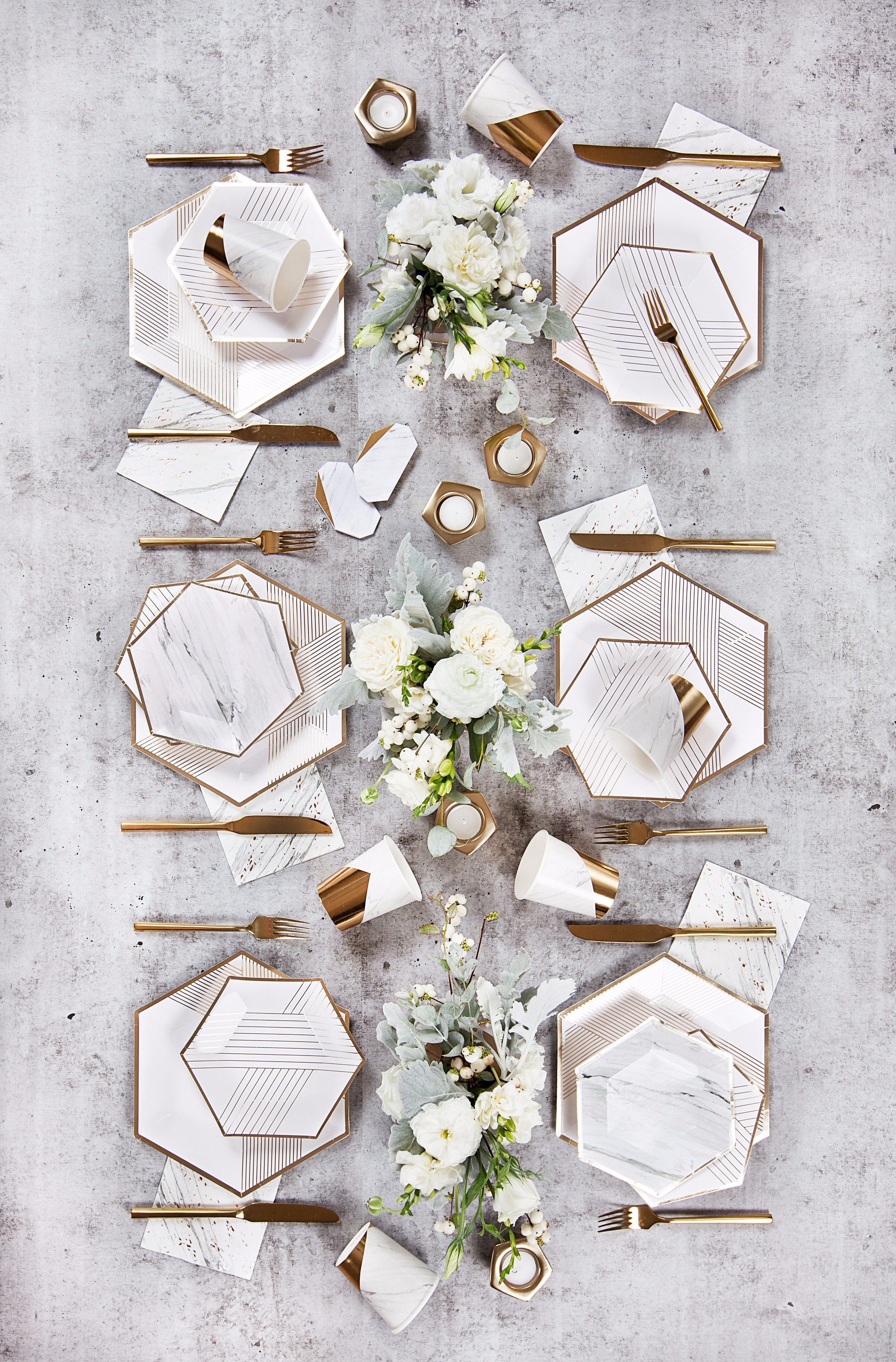 Blanc - White Striped Premium Large Paper Plates